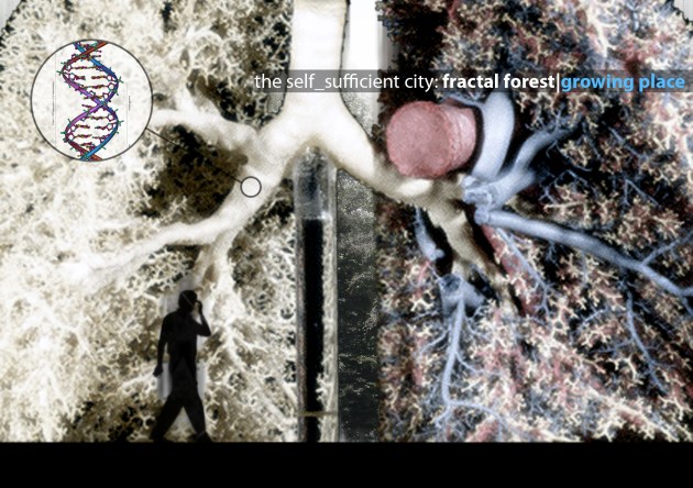 fractal forest_concept1b