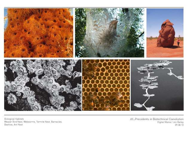 Thesis_Precedent_01_Page_06