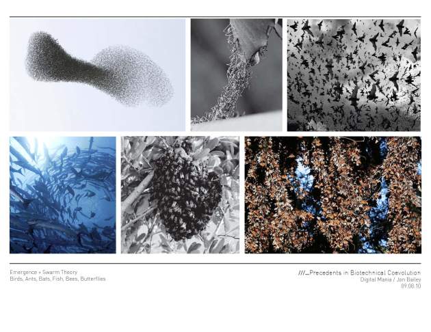 Thesis_Precedent_01_Page_08