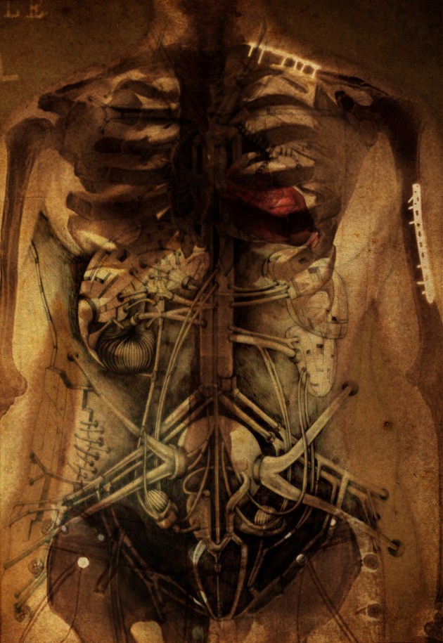 Biotechnical Coevolution