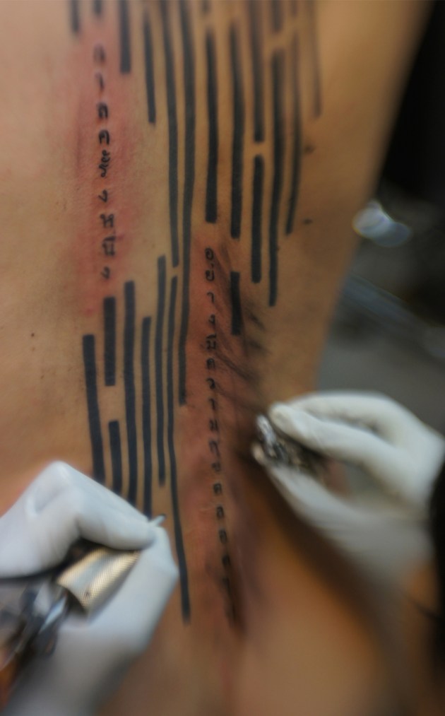 Log25_postcard_FINAL