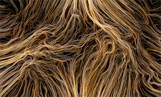 roland-snooks_upenn_03